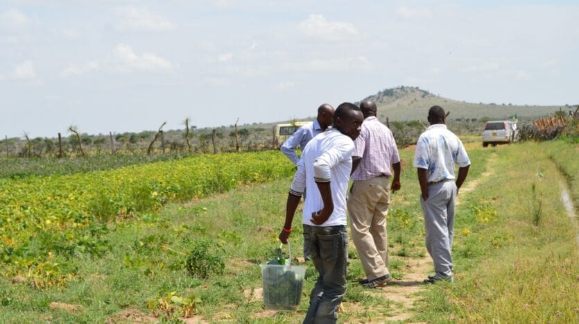 Image of people in a farm
